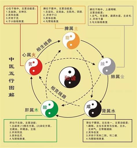 股票五行|股票在五行学说中属于什么属性？这种属性如何影响投资策略？